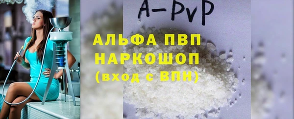 стаф Новодвинск