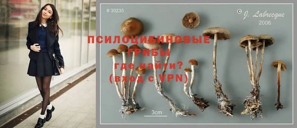 дурь Няндома