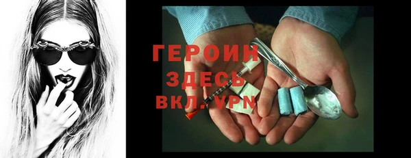 дурь Няндома