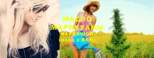 дурь Няндома