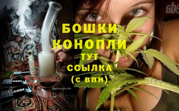 дурь Няндома