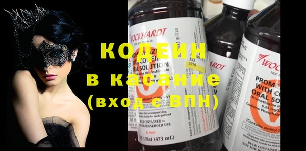 дурь Няндома