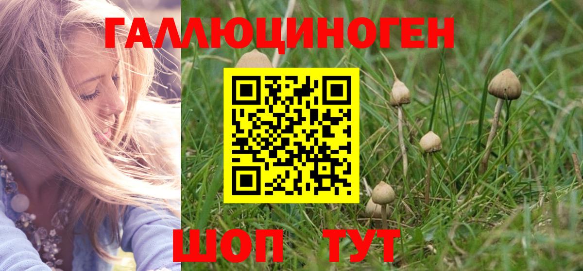 Галлюциногенные грибы прущие грибы  Вход с VPN  Петровск 