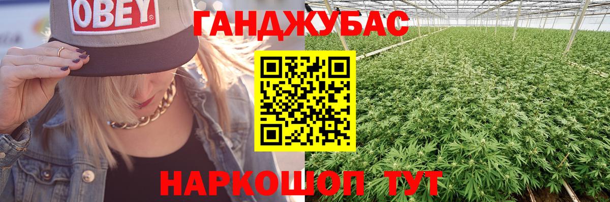 Бошки марихуана Amnesia  Вход с VPN  Петровск  Каннабис конопля  Канабис конопля 
